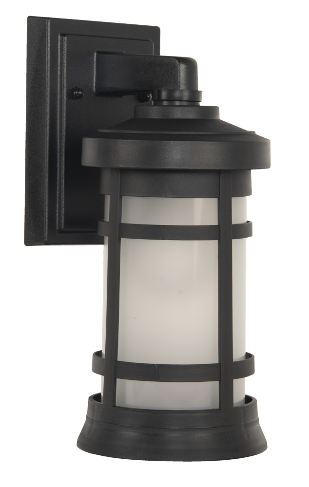 Resilience 1 Light Small Outdoor Wall Lantern in Textured Black