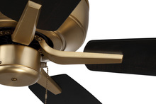 P52SB5-52BWNFB_500.jpg