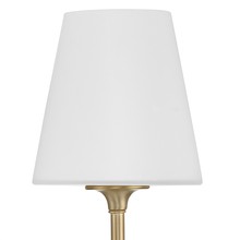2442-OP-VG_ALT4.jpg