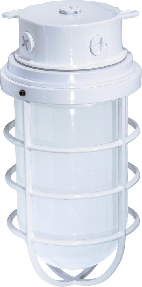 1 Light - 11" Vapor Proof - Surface Mount with Frosted Glass - White Finish